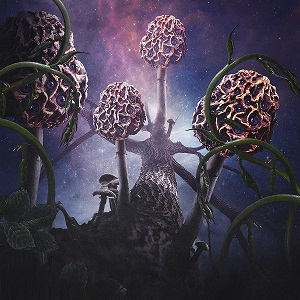 Blut aus Nord - Hallucinogen - Slipcase Gatefold DLP