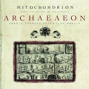 Mitochondrion - Archaeaeon - CD