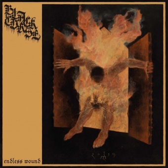 Black Curse - Endless Wound - Digipak CD