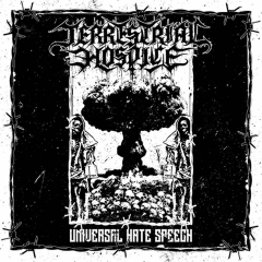 Terrestrial Hospice - Universal Hate Speech - Gatefold-MLP